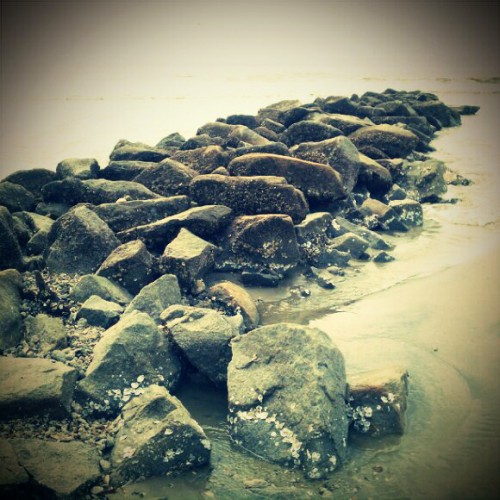 Rocks
